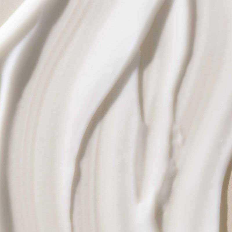 Living Proof No Frizz Smooth Styling Cream | controls frizz | conditions | long-lasting smoothness | shine | no silicone | frizz control | radiant results