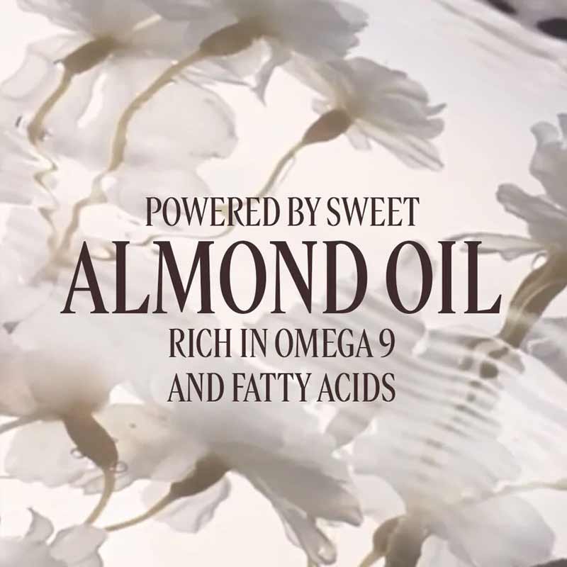 L'OCCITANE Almond Milk Veil Key Ingredients