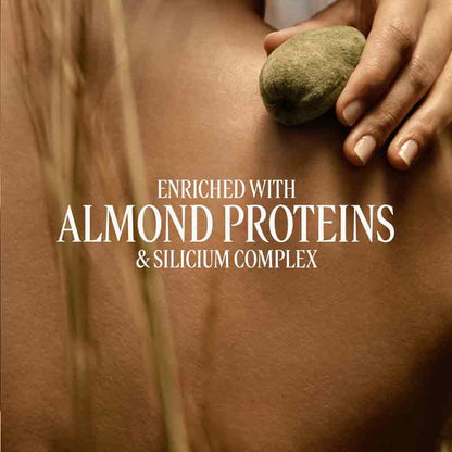 L'OCCITANE Almond Smoothing Milk Concentrate Key Ingredients