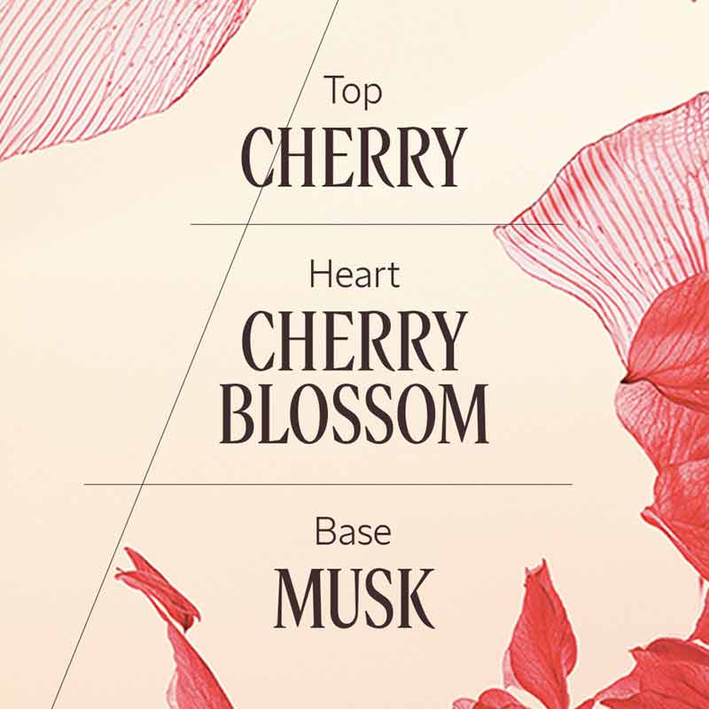 L'OCCITANE Fleurs De Cerisier Cherry Blossom Eau de Toilette Fragrance notes