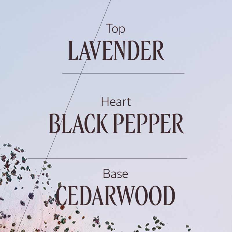 L'OCCITANE Lavande Poivre Noir Eau de Toilette Notes