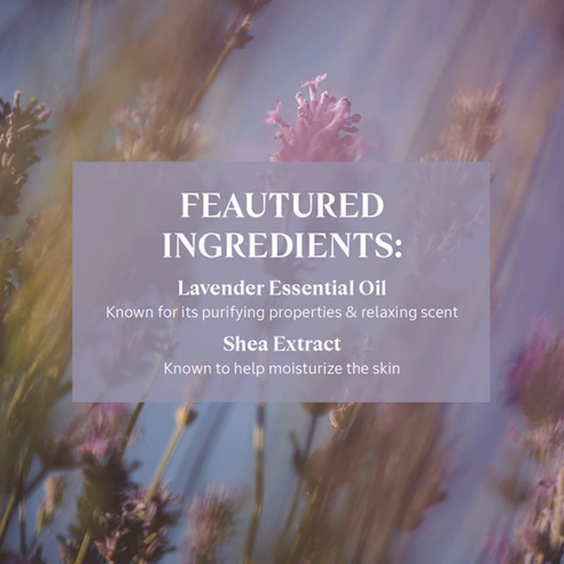 L'Occitane, L'Occitane Shea Lavender Hands & Body Liquid Soap, Lavender Soap, Moistuirising Soap