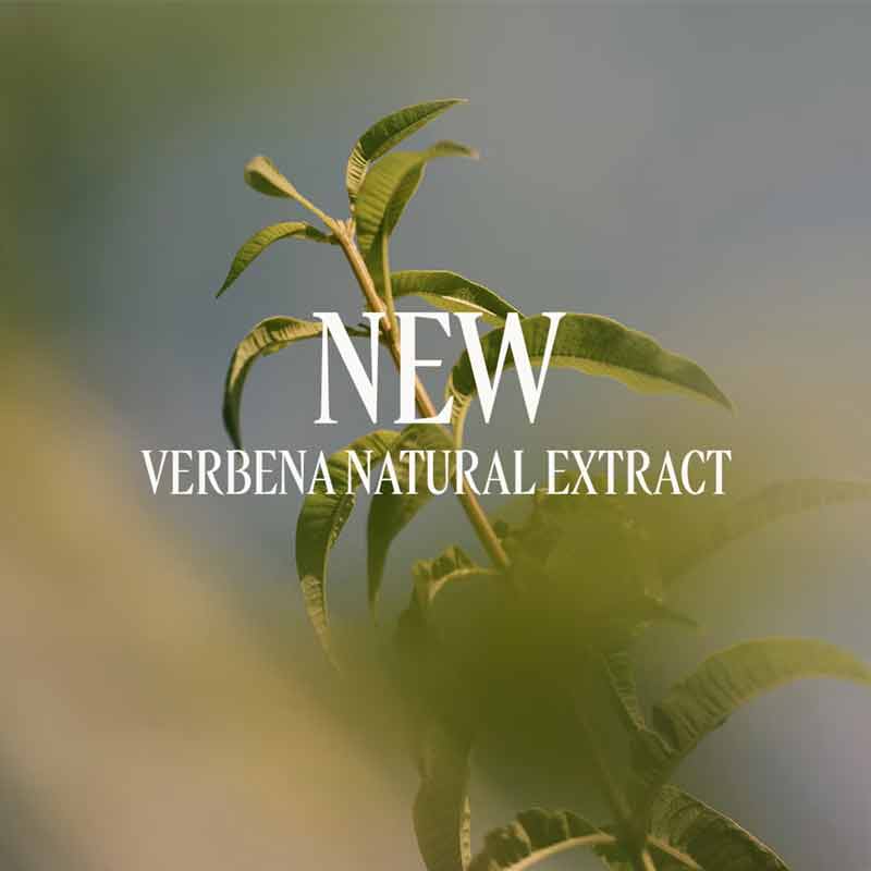 L'OCCITANE Verbena Shower Gel With Verbena Natural Extract