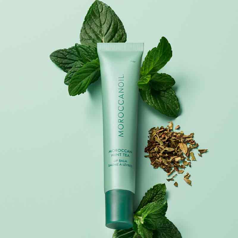 Moroccanoil Mint Tea Lip Balm