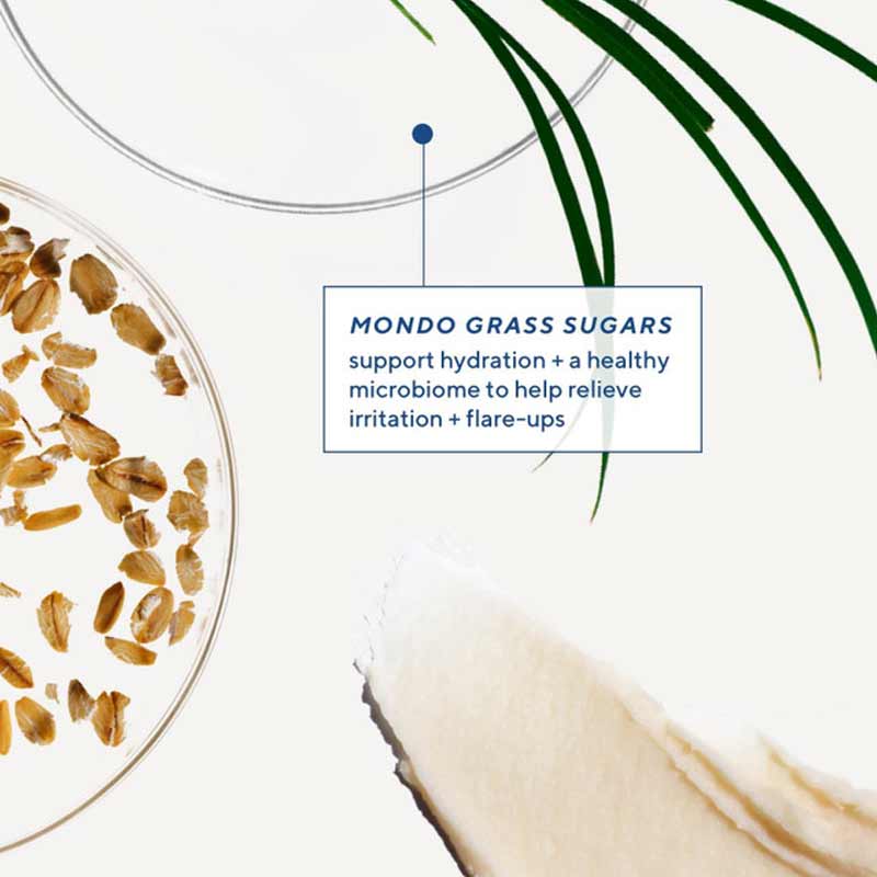 Murad Daily Defense Cream | Colloidal oatmeal | clinically proven | relieve minor skin irritation | itching due | dryness | Niacinamide | strengthens | skin barrier | helps skin hold moisture | Mondo grass sugars | support hydration | encourage | healthy microbiome | help relieve irritation | decrease | flare-ups 