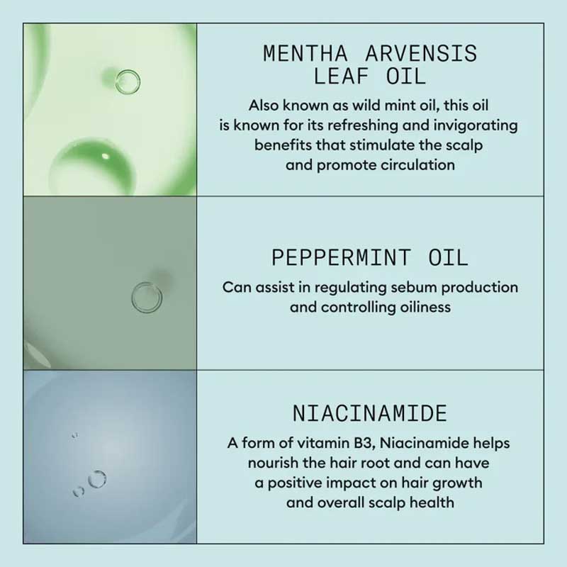 Nioxin | Scalp Recovery | Kit | three piece | haircare set | itchy |  flaky | dry | shampoo | conditioner | leave in treatment | simplify | hair wash | scalp | comfortable | nourished 