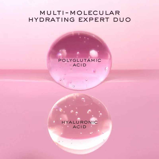 NUXE Prodigieuse Hyalu Boost Night Recovery Oil Balm Key Ingredients