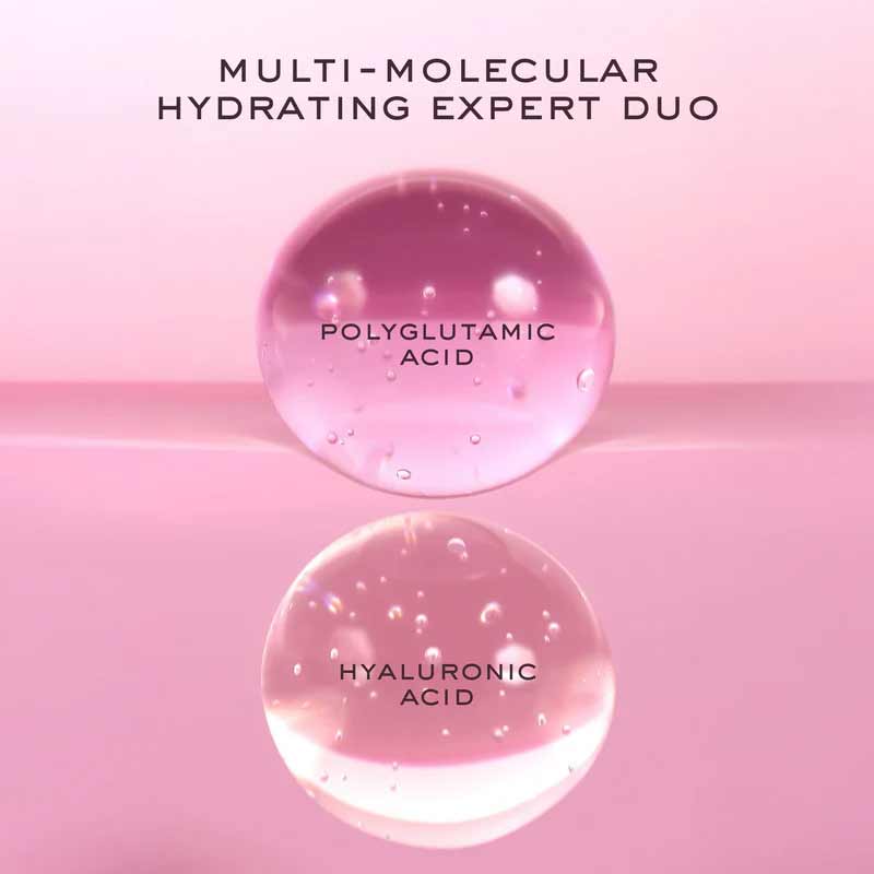 NUXE Prodigieuse® [Hyalu] Boost Vit C & Hyaluronic Acid Serum Key Ingredients