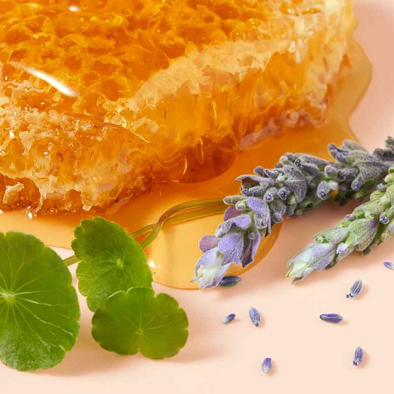 NUXE Rêve de Miel Cica Rich Hand Cream Scent, Honey & Lavender