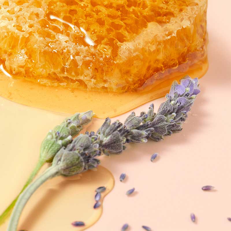 NUXE Reve De Miel Honey Lip Care Oil