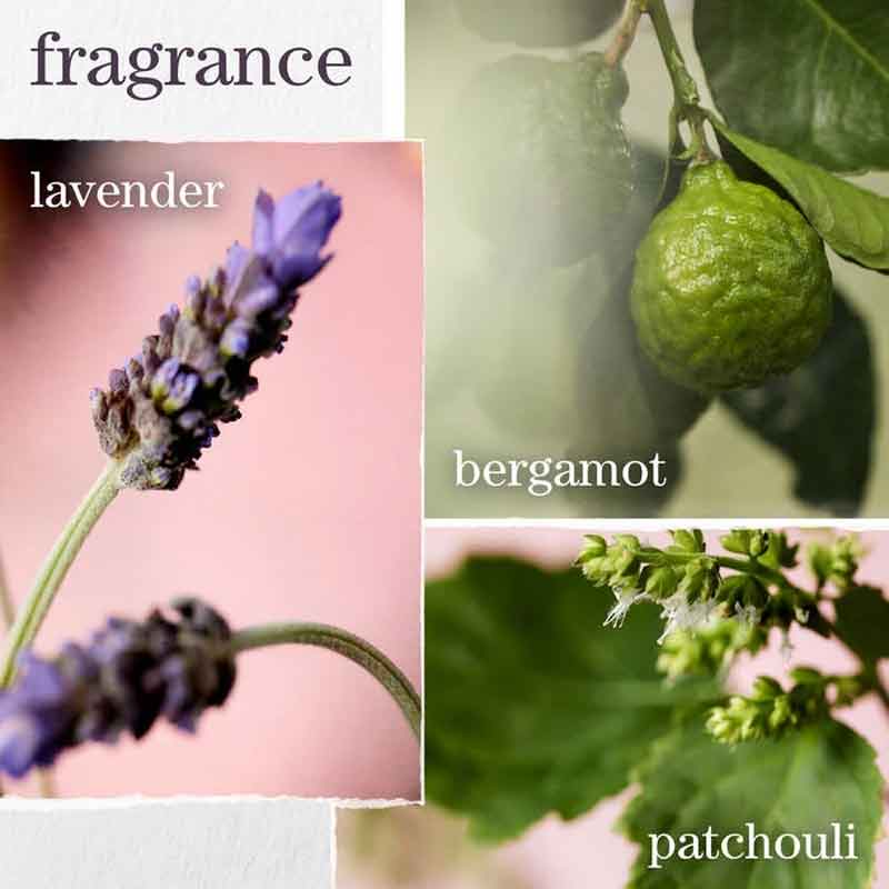 Pureology Hydrate Shampoo Fragrance Notes