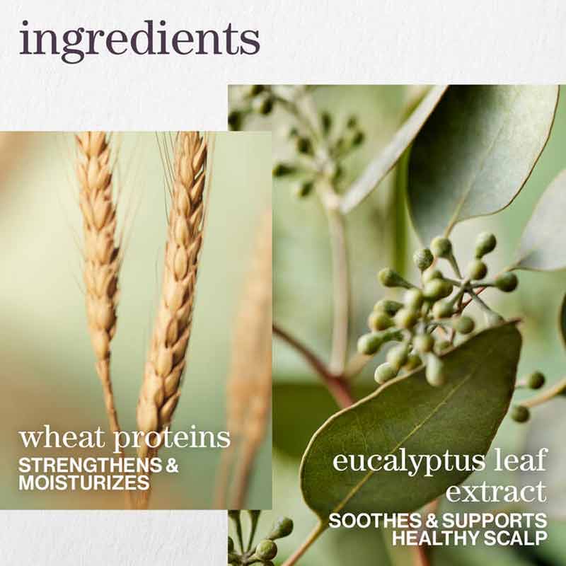 Pureology Hydrate Sheer Shampoo Key Ingredients 