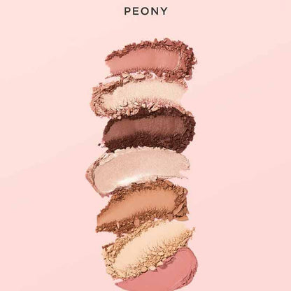 Sculpted By Aimee Bare Basics Peony Face and Eye Palette Discontinued