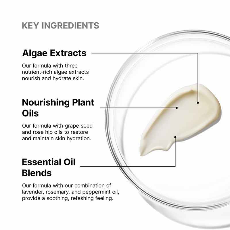 SkinCeuticals Emollience Moisturiser Key Ingredients