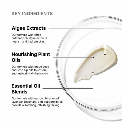 SkinCeuticals Emollience Moisturiser Key Ingredients
