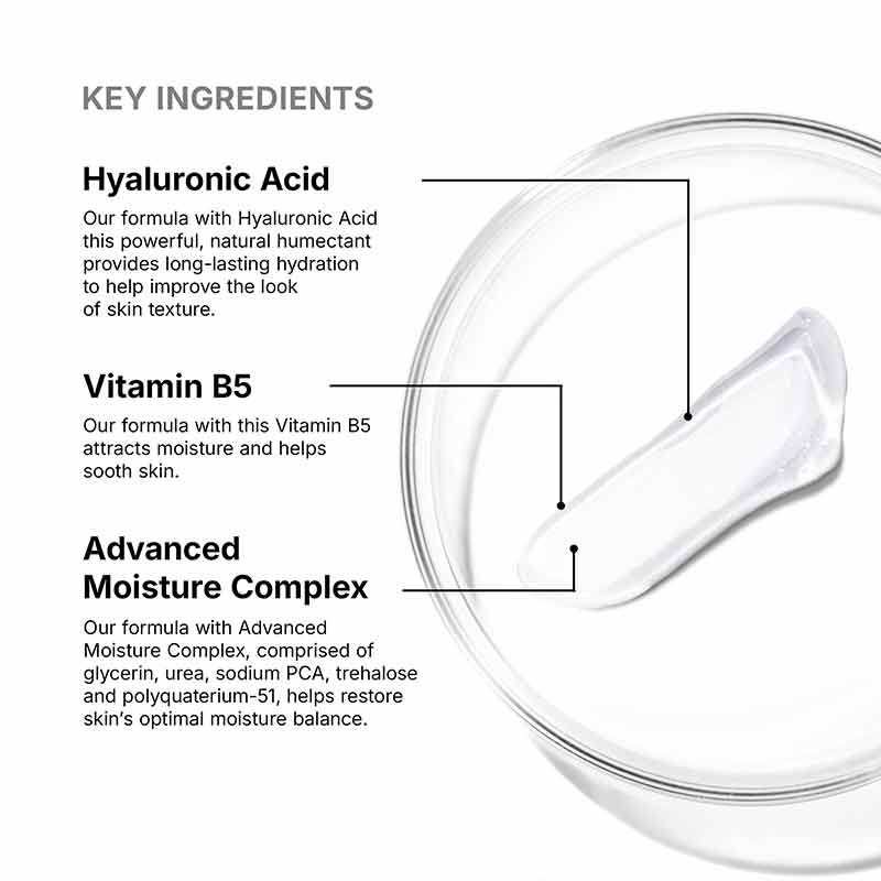 SkinCeuticals Hydrating B5 Masque Key Ingredients