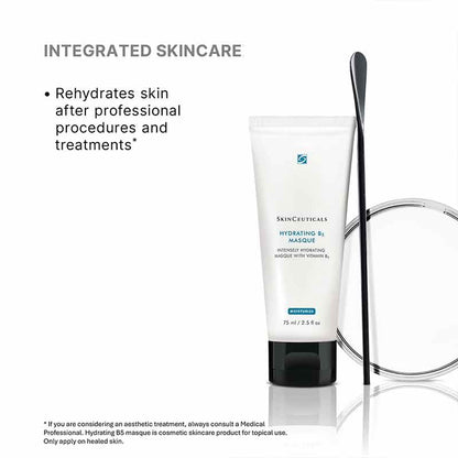 SkinCeuticals Hydrating B5 Masque