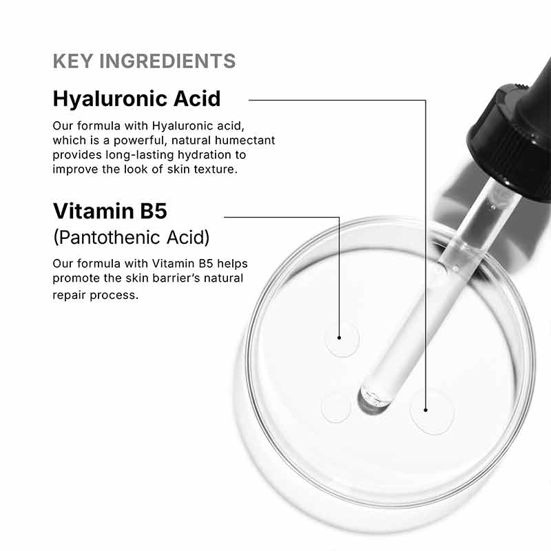 SkinCeuticals Hydrating B5 Serum Key Ingredients