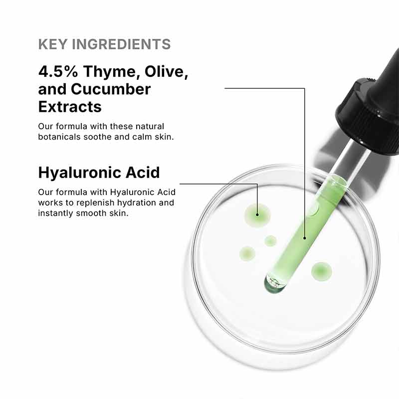 SkinCeuticals Phyto Corrective Key Ingredients