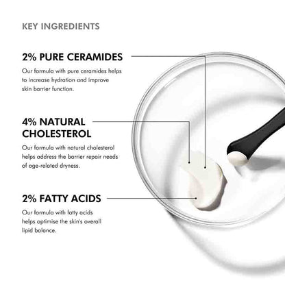 SkinCeuticals Triple Lipid Restore 2:4:2 Key Ingredients