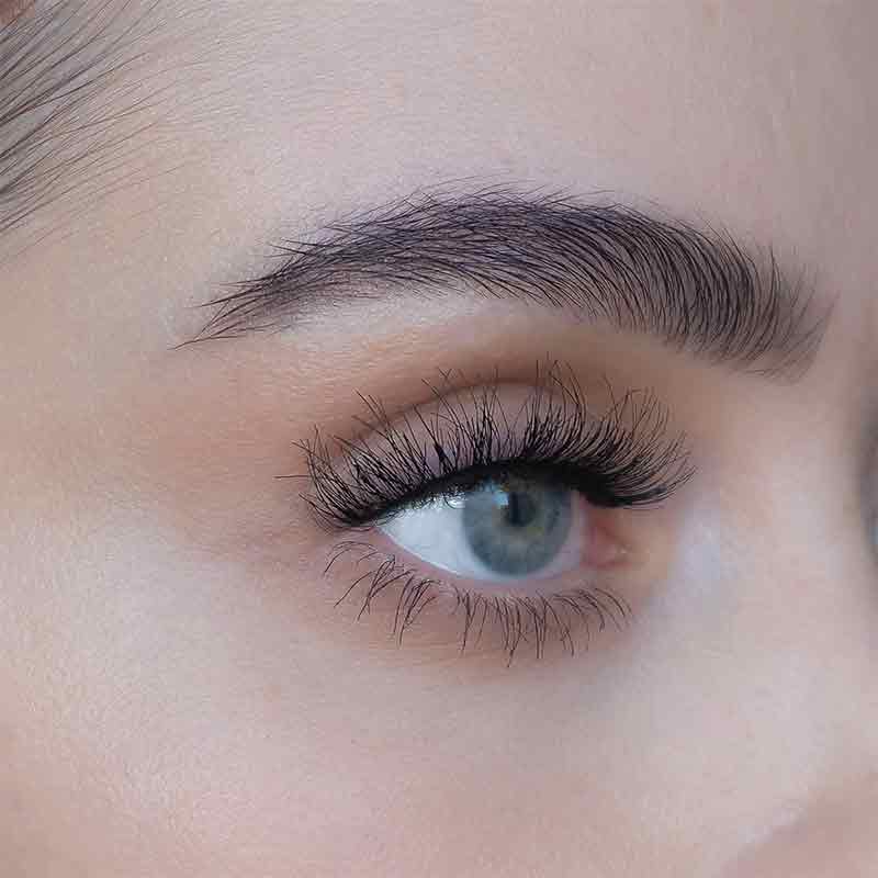 SWEED Lashes  ASH 3D | false lashes | faux lashes