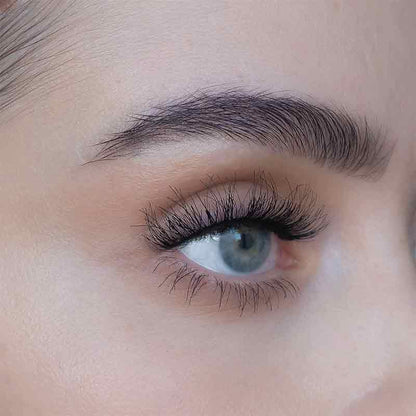 SWEED Lashes  ASH 3D | false lashes | faux lashes