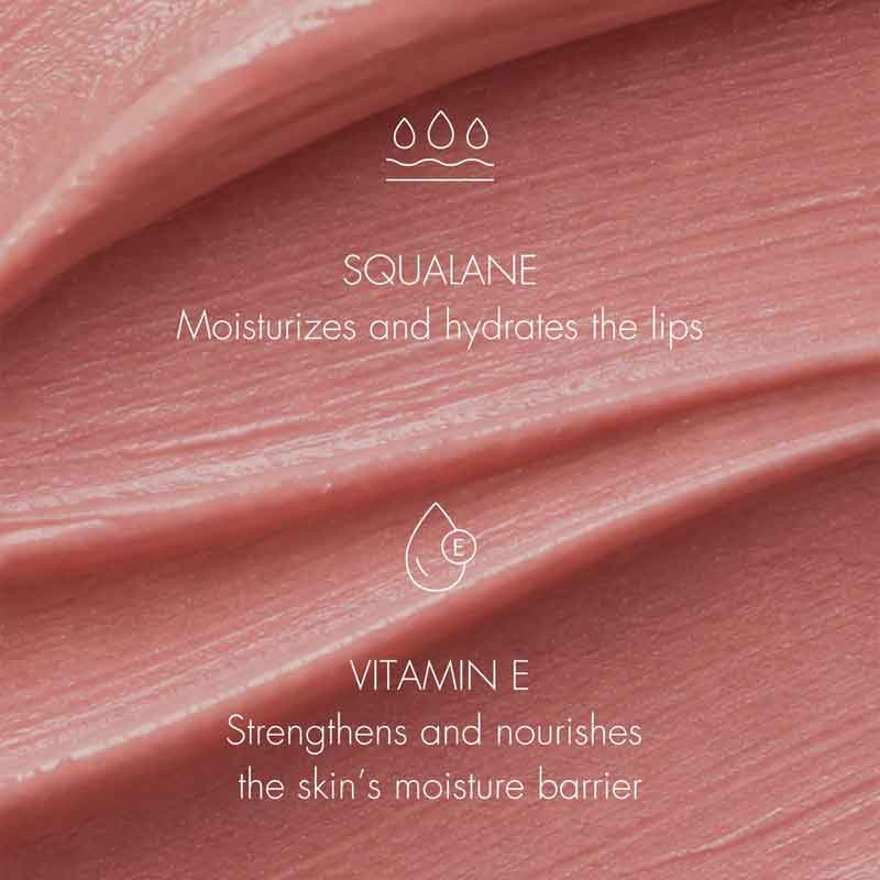 SWEED X Elisa Maino Le Lipstick Key Ingredients