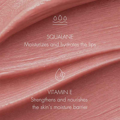 SWEED X Elisa Maino Le Lipstick Key Ingredients