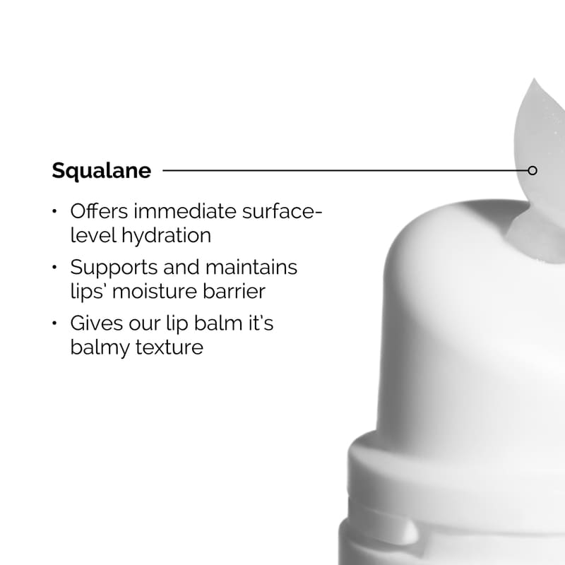 The Ordinary | Squalane + Amino Acids Lip Balm | Squalane | Hydrating Lip Balm