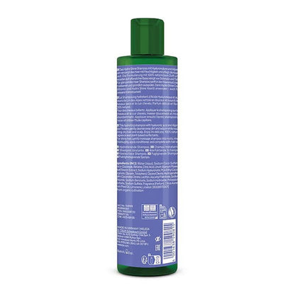 Weleda Hydra Shine Shampoo Main Product image white background Back of product image white background