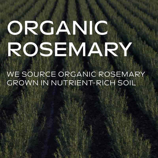 Weleda Rosemary Revitalising Shampoo