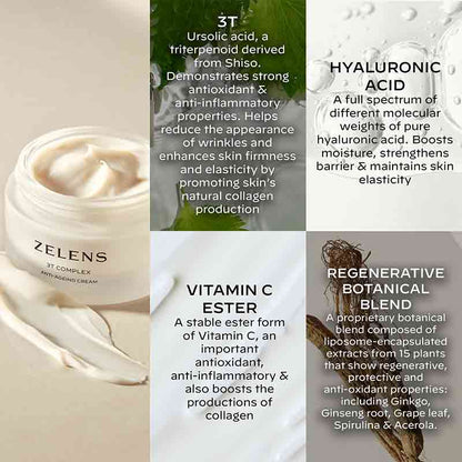 Zelens 3T Complex Anti-Ageing Cream Key Ingredients