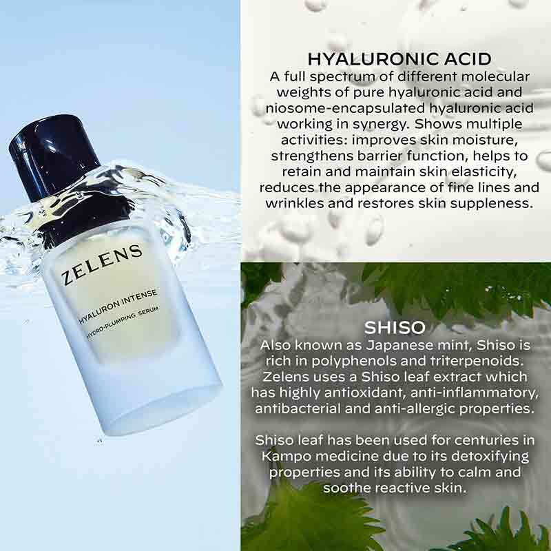 Zelens Hyaluron Intense Hydro-Plumping Serum Key Ingredients