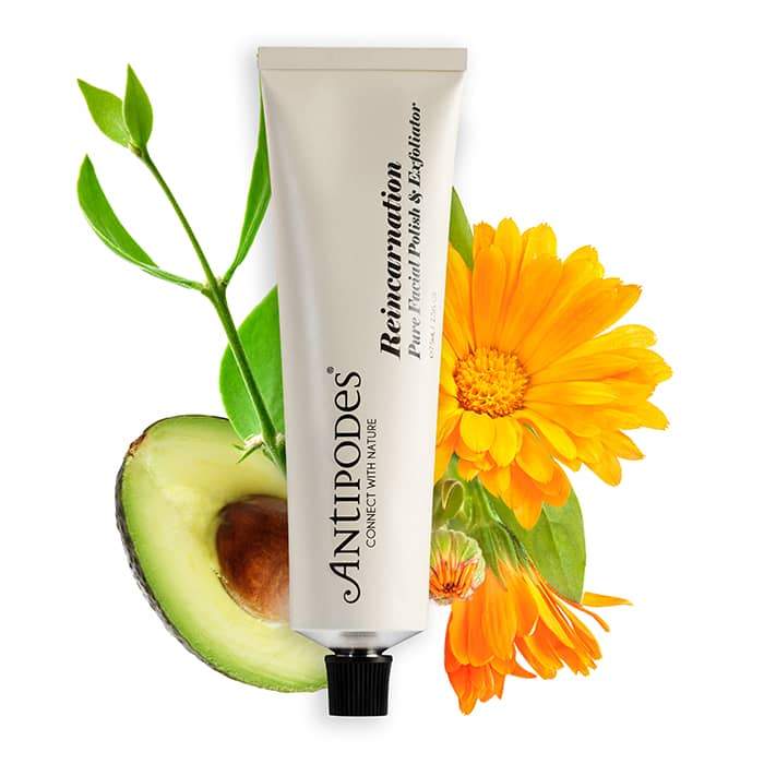 Antipodes Reincarnation Pure Facial Exfoliator | jojoba beads | calendula oil | very dry skin exfoliator 