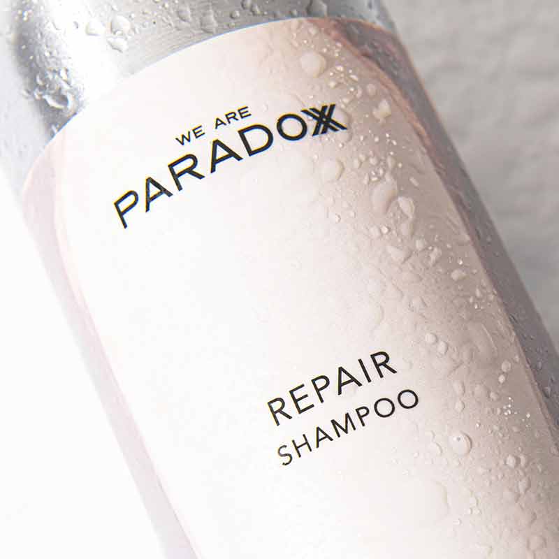 We Are Paradoxx Repair Shampoo | dry damaged hair