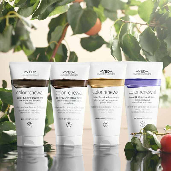 Aveda Color Renewal Colour and Shine Treatment Cool Brown | toning treatments conditioning hair |coloured conditioners