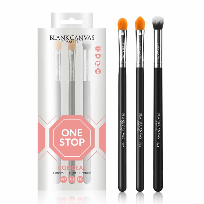 Blank Canvas One Stop Conceal Brush Set