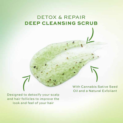 John Frieda Detox & Repair Deep Cleansing Scrub